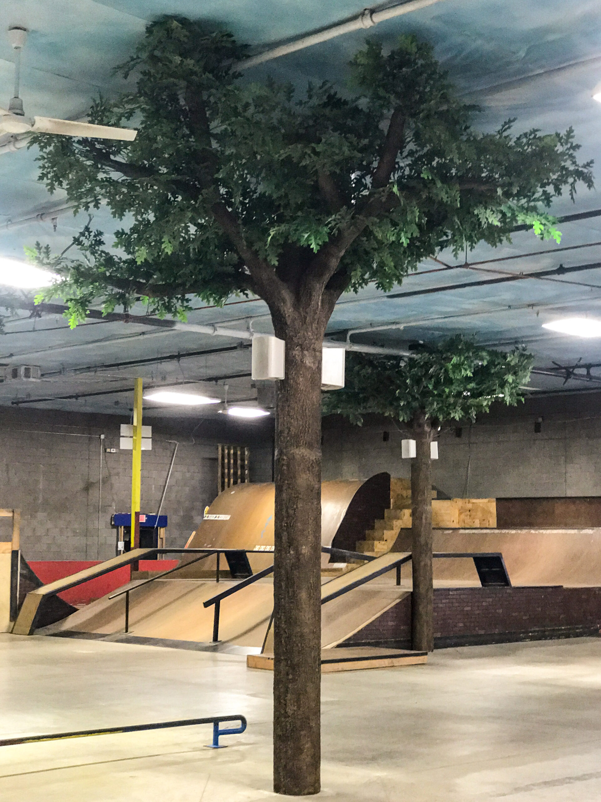 KTR Indoor Action Sports Playground Faux Tree