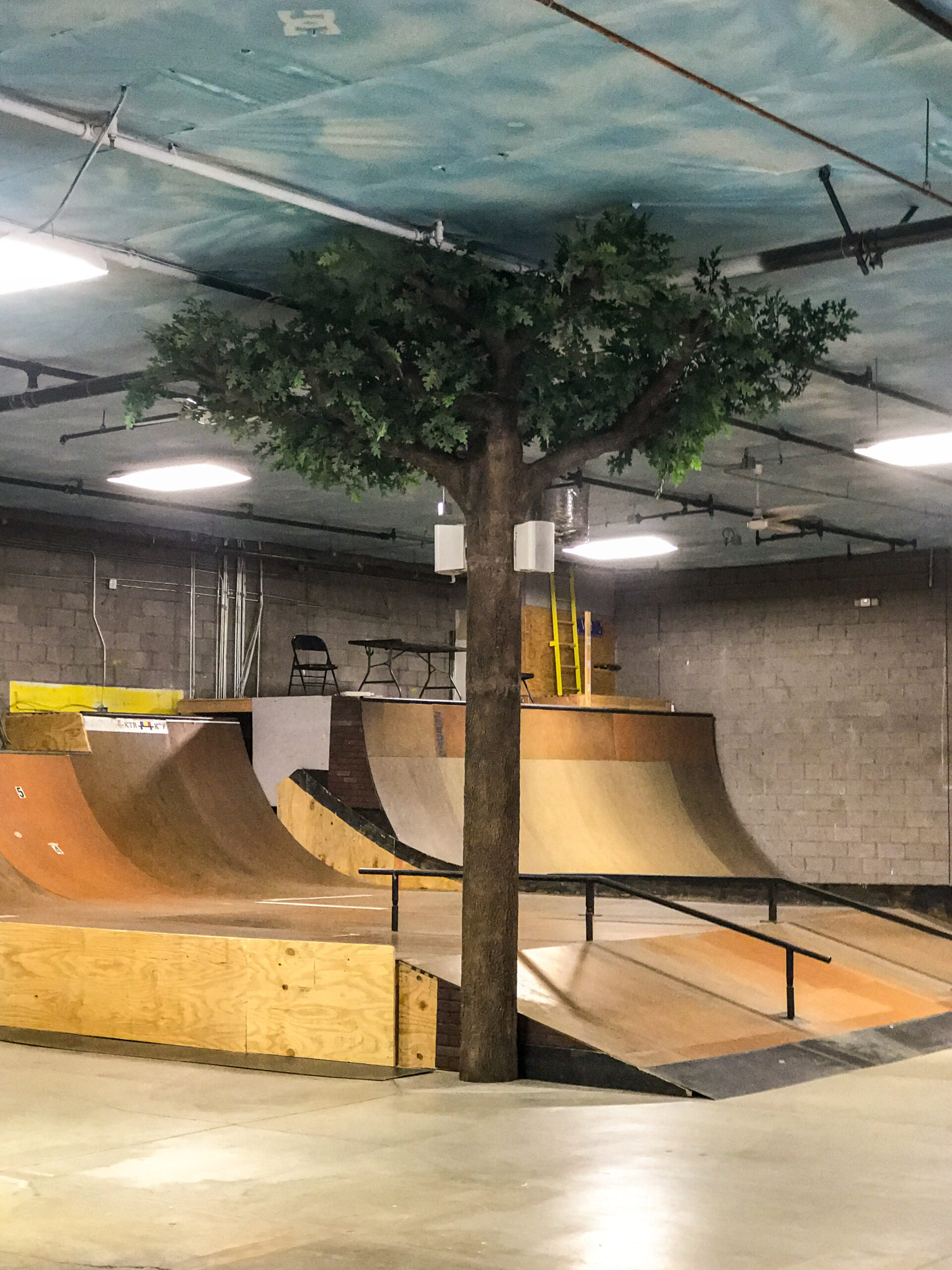 KTR Indoor Action Sports Playground Faux Tree