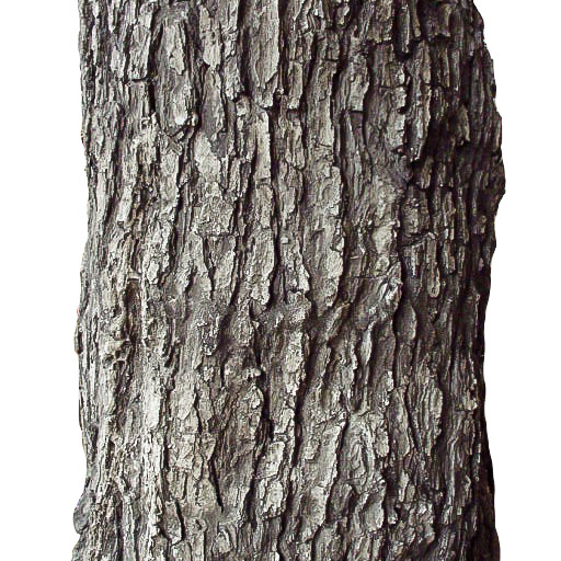 Close-up Flexbark, Artificial Tree Bark